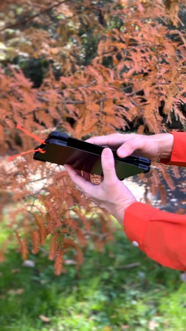 新品未開封 TENt o TEN エッジスタンド 用 カーボンプレート テーブル 新品未開封 TENt o TEN エッジスタンド 用 カーボンプレート テーブル